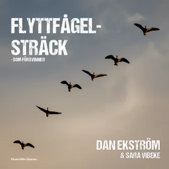 Flyttfågelsträck by Dan Ekström