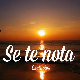 Se Te Nota by Exclu$ive