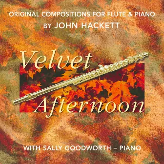 Velvet Afternoon by John Hackett