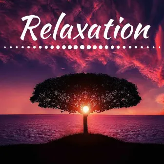 Relaxation - Relaxing Prime Sounds of Nature by Unknown Artist