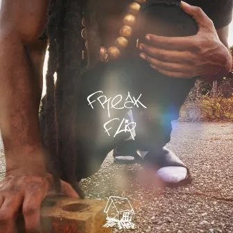 Freak Flip by Lafayette The Artist