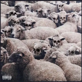 BLVCK SHEEP° by Casso Blvck