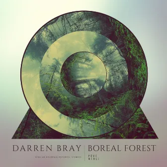 Boreal Forest by Nehli