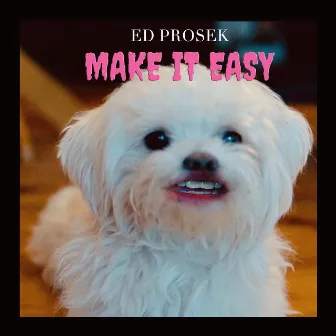 Make It Easy by Ed Prosek