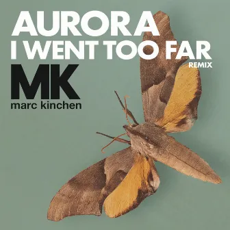 I Went Too Far (MK Remix) [Radio Version] by AURORA