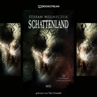 Schattenland [32 schwarze Geschichten (Ungekürzt)] by Tim Schmidt