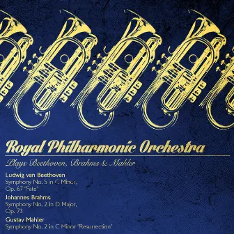 Royal Philharmonic Orchestra Plays Beethoven, Brahms & Mahler by Harold Farberman