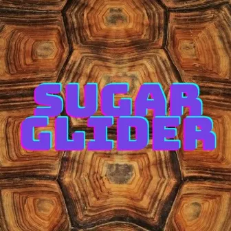 SUGAR GLIDER by Unknown Artist