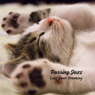 Purring Jazz: Cats' Sweet Dreaming by Playful Jazz Beats