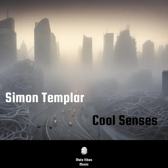 Cool Senses - Radio Edit