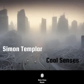 Cool Senses by Simon Templar