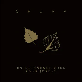 En brennende vogn over jordet by Spurv