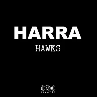 Hawks by Harra