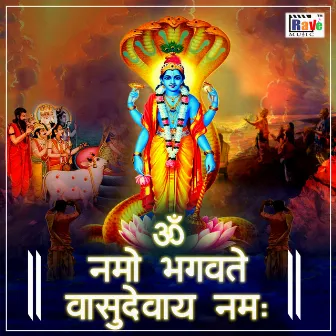 Om Namo Bhagavate Vasudevaya Namah by 