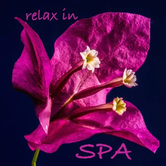 Relax in Spa - Zen Spa Music for Mindfulness and Relaxation by Buddha Zen Spa