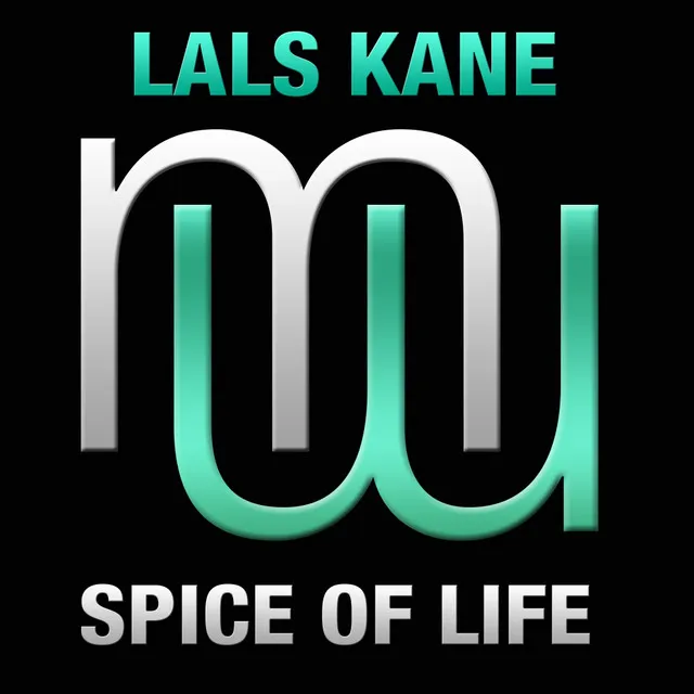 Spice of Life - Radio Edit