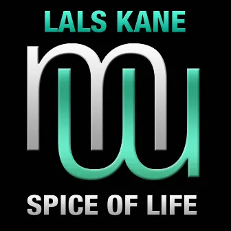 Spice of Life (Radio Edit) by 