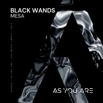 Mesa by Black Wands