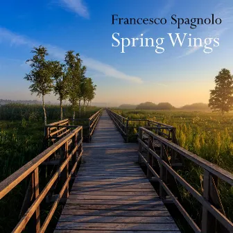 Spring Wings by Romantic Piano Music Academy