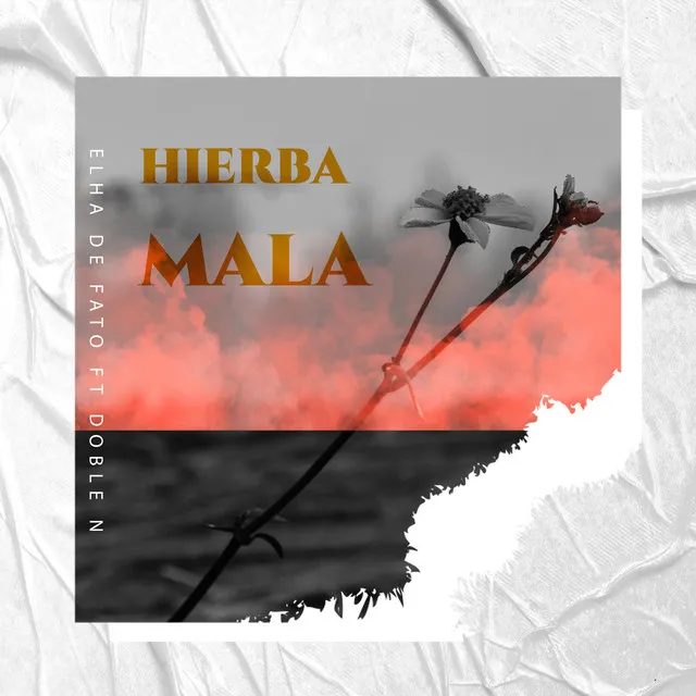 Hierba Mala