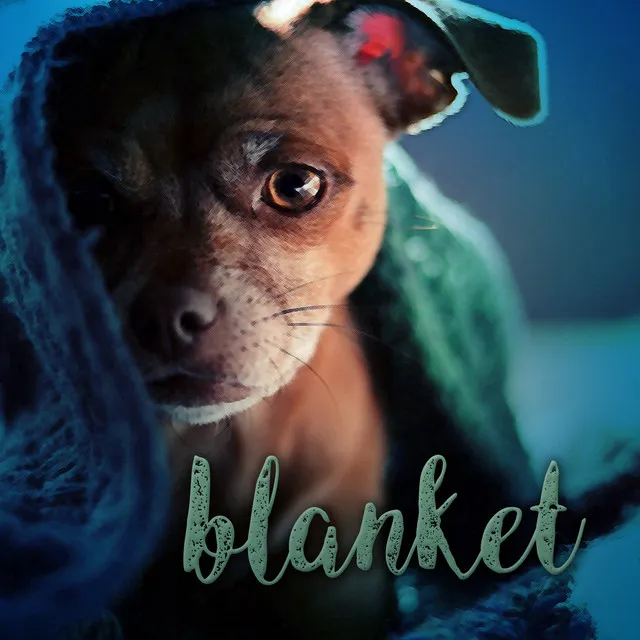 Blanket