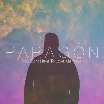 You Don't Have to Love Me Now by P A R A G O N