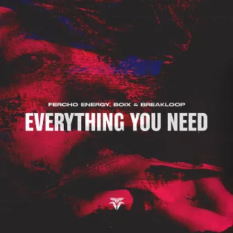 Everything You Need by Boix & Breakloop