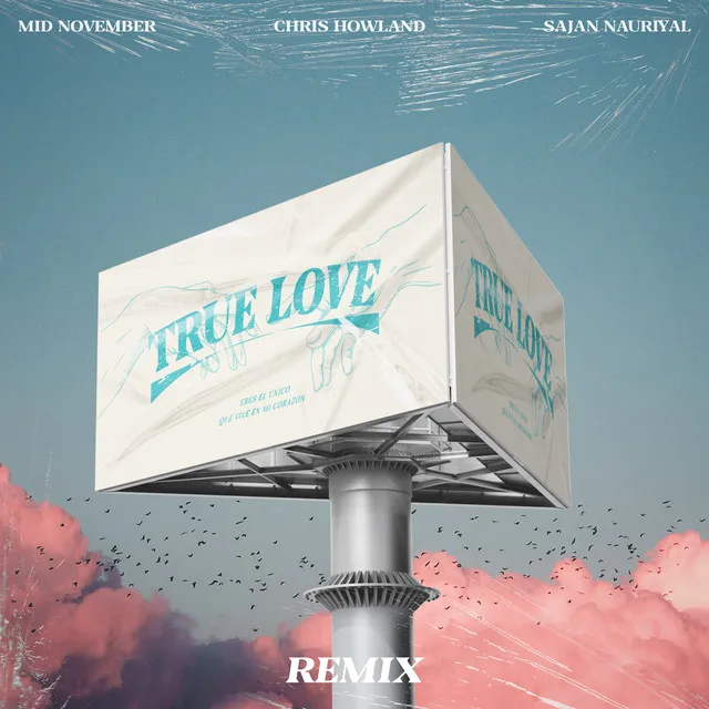 True Love (Remix)