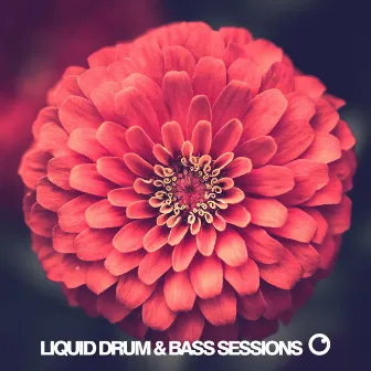 Liquid Drum & Bass Sessions 2020 Vol 8 by Dreazz