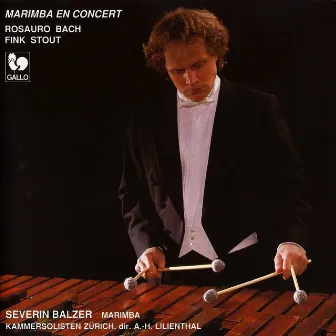 Rosauro, Bach, Fink & Stout: Marimba en concert by Severin Balzer