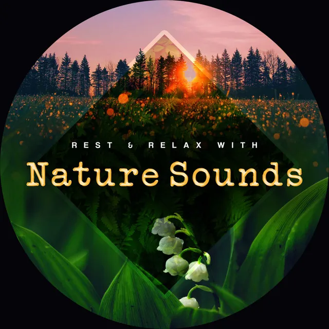 Rest & Relax with Nature Sounds