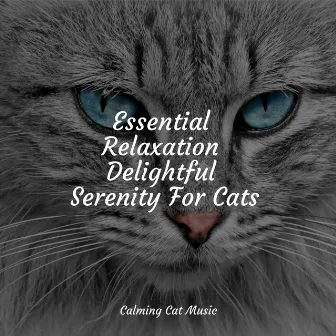 Essential Relaxation Delightful Serenity For Cats by Cat Music