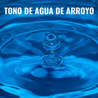 Tono De Agua De Arroyo by 