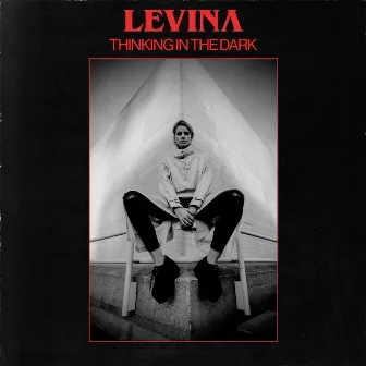 Thinking In The Dark by Levina