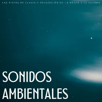 Sonidos Ambientales: Las Pistas De Lluvia Y Relajación De La Mente Y El Cuerpo by Reino de Música de Spa