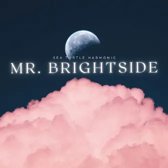 Mr. Brightside by Sea Turtle Harmonic