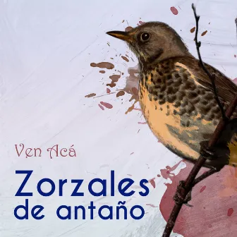 Zorzales de Antaño… Ven Acá by Toña 