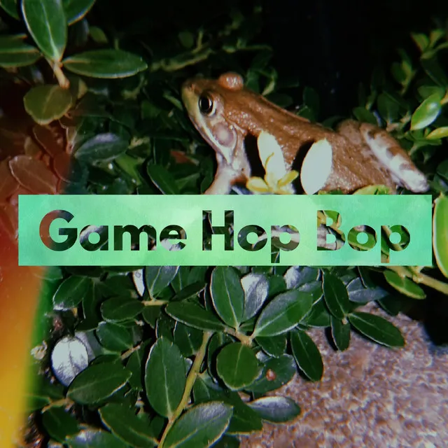 Game Hop Bop