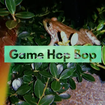 Game Hop Bop by CeeDubelu