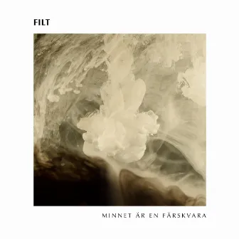 Minnet är en färskvara by FILT