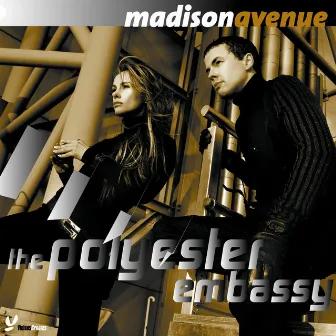 Polyester Embassy by Madison Avenue