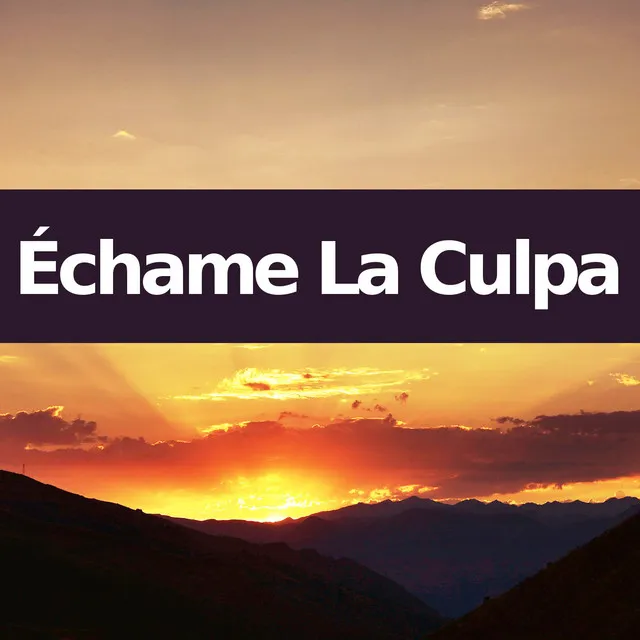 Échame La Culpa - Harp Version