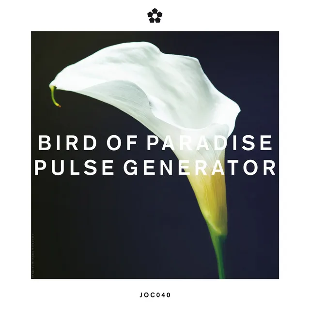 Pulse Generator - Kieran Holden Remix