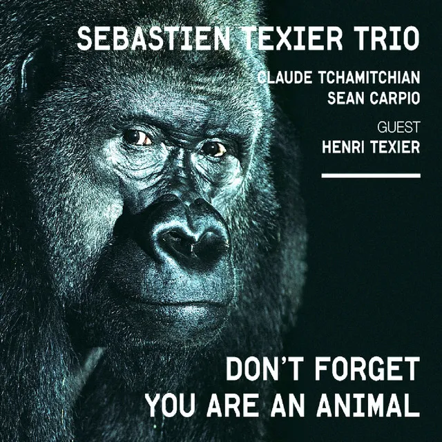 Don't Forget You Are an Animal (feat. Henri Texier, Claude Tchamitchian, Sean Carpio)