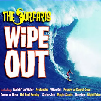 Wipe Out by The Surfaris