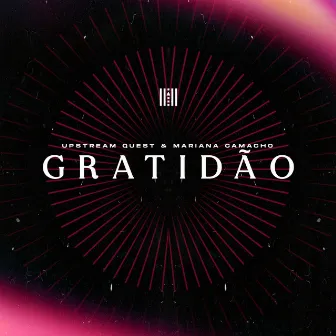 Gratidão by Mariana Camacho