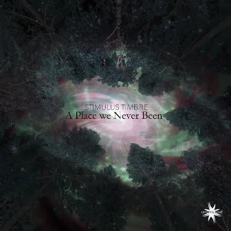 A Place We Never Been by Stimulus Timbre