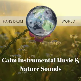 Calm Instrumental Music & Nature Sounds by Hang Drum World