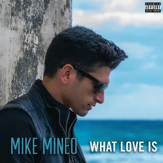 What Love Is by Mike Mineo