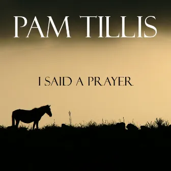 I Said a Prayer by Pam Tillis